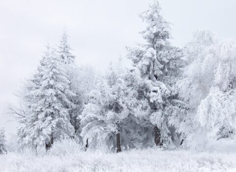 Hava bu tarixdən dəyişir – Qar yağacaq