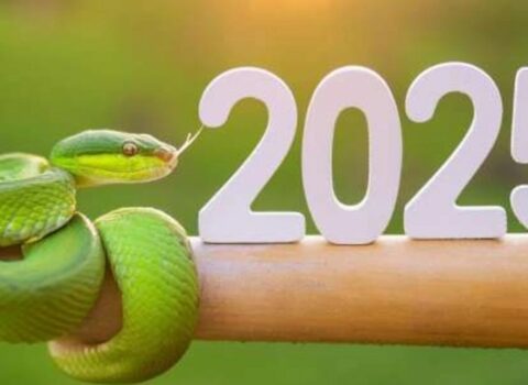2025-ci ildə doğulacaq insanların xarakteri
