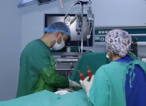 Plastik cərrahi əməliyyatları tənzimləyən ayrıca yerli protokollar mövcud deyil – RƏSMİ