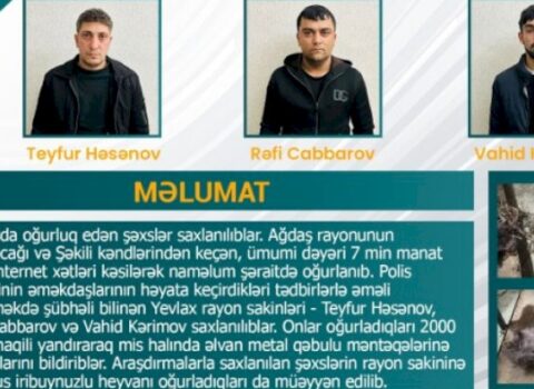 7 min manatlıq internet xətlərini kəsərək oğurladılar