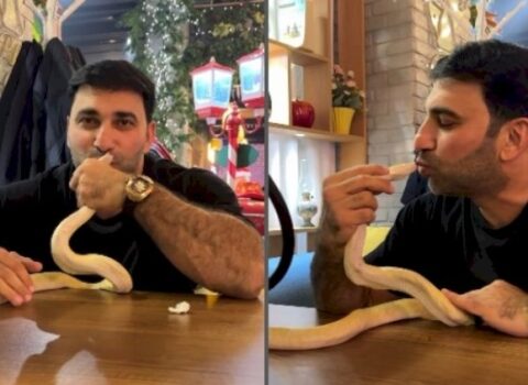 Kamil Zeynallı bu dəfə ilanla: Öpdü, paltarının içinə saldı