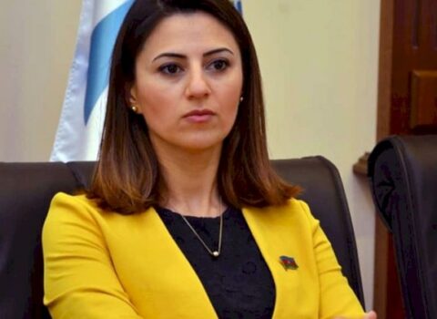 Sevinc Fətəliyeva vəzifəsini itirdi
