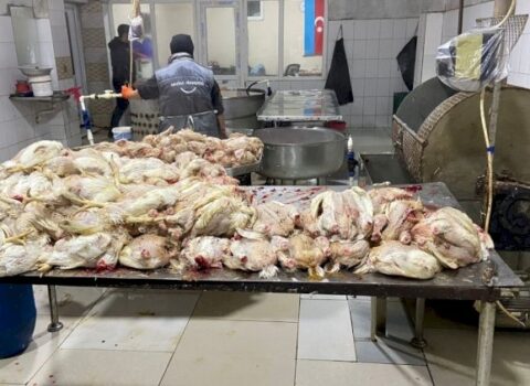 Ev quşlarının kəsimi məntəqəsində nöqsanlar aşkarlandı