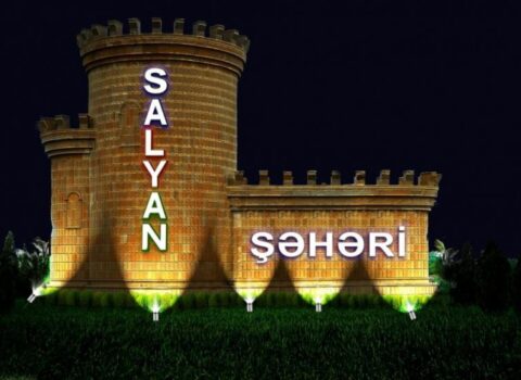 Salyanda ərini doğrayan qadın tanınmış həkimin qızıdır