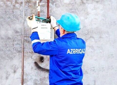 Sayğaclara görə bu qədər vəsait xərclənəcək – İşləri 10 manatlıq şirkət görəcək