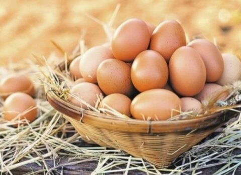 Vətəndaşlar aldadılır: Kənd yumurtası adı ilə nə təklif edirlər?
