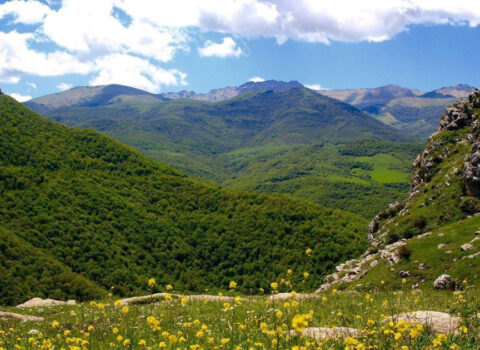Şuşa-Ağdərə-Kəlbəcər rayonlarında yeni milli park yaradılacaq