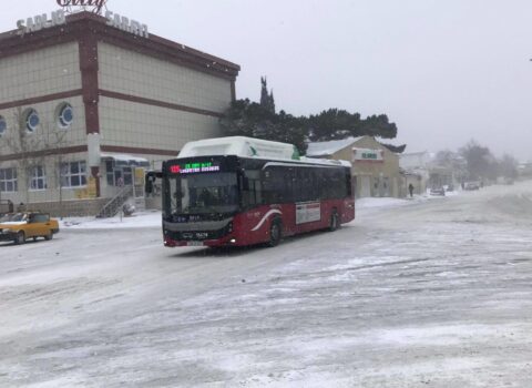 Havalar kəskin soyuyur: Bakıya bu tarixdə qar yağacaq