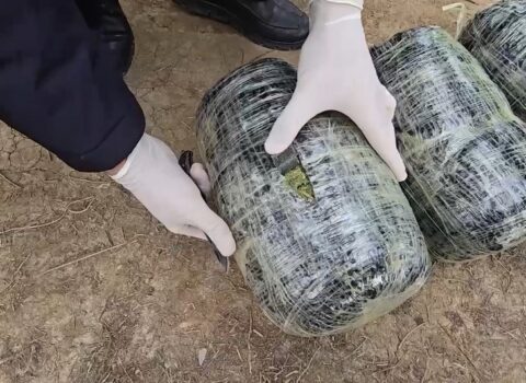 Ağcabədidə saxlanılan şəxsdən 10 kiloqram narkotik vasitələr aşkarlandı