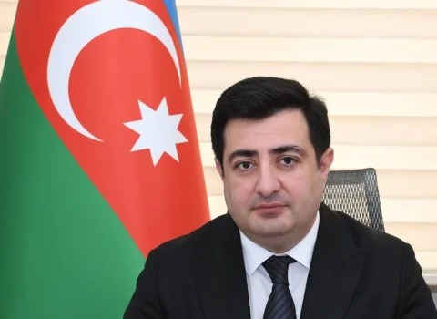 ANAMA sədrinin birinci müavini vəzifəsindən azad edildi