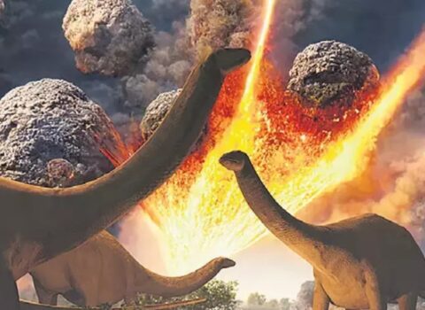 Meteorit və dinozavrlarla bağlı İLGİNC FAKTLAR – 65 milyon illik SİRR
