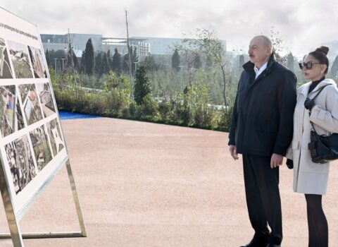 İlham Əliyev Bakıda yaradılan yeni parkın açılışında iştirak etdi