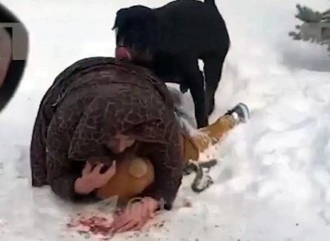 Ananın uşağını itdən bu cür qoruması gündəm oldu – Video