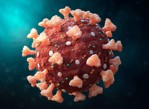 Çindən daha bir virus çıxdı – İnsanlar üçün təhlükə var?