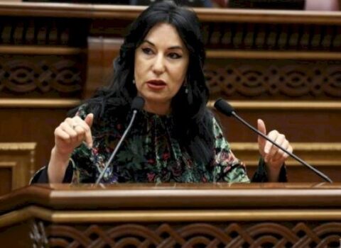 “Əliyevin bir məqsədi var, o, buna nail olmaq istəyir” – Zöhrabyan
