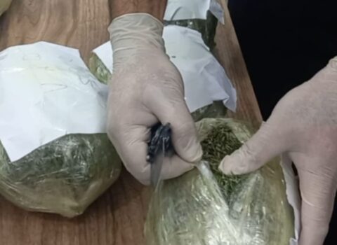 Ötən gün 43 kiloqramdan artıq narkotik aşkarlanıb