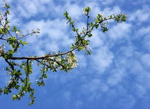 Aprel ayının havası: 32 dərəcə isti…