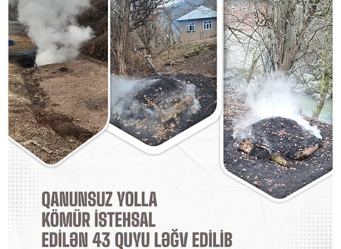 Qanunsuz kömür istehsal edən şəxslər cərimələndi