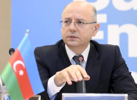 Əmisi oğlu ilə “parnik” salan nazirin pulu batdı – QALMAQAL