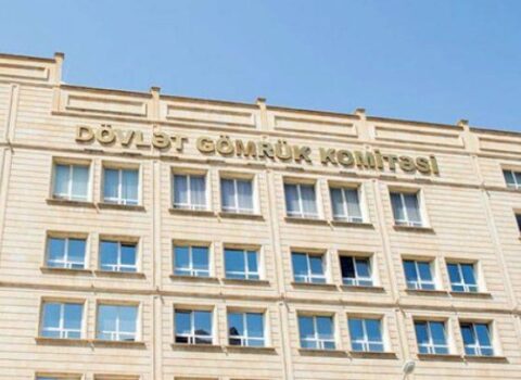Dövlət Gömrük Komitəsi itlərə 220 min xərcləyir