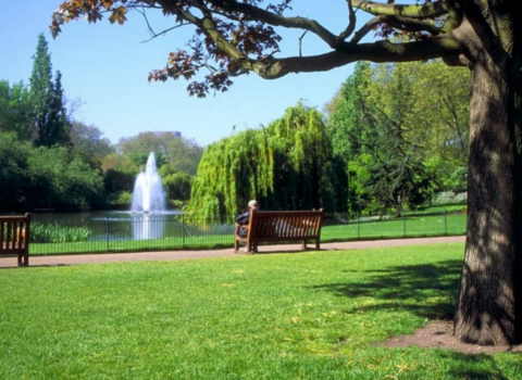 Bakıda bu ərazidə yeni park salınacaq