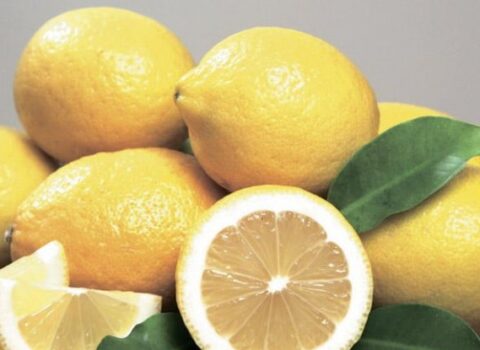 Əhaliyə limonla bağlı xəbərdarlıq edildi