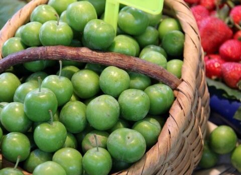 Bazarlarda qiyməti “əl yandıran” alça buna görə baha satılır – Ekspert səbəbi AÇIQLADI