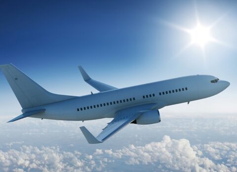 “Turkish Airlines” və “EgyptAir” bu ölkəyə uçuşları dayandırdı