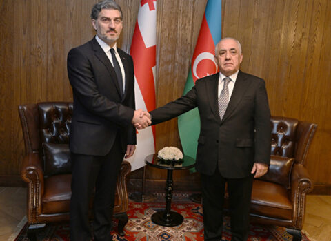 Əli Əsədov Gürcüstan Prezidenti ilə görüşdü