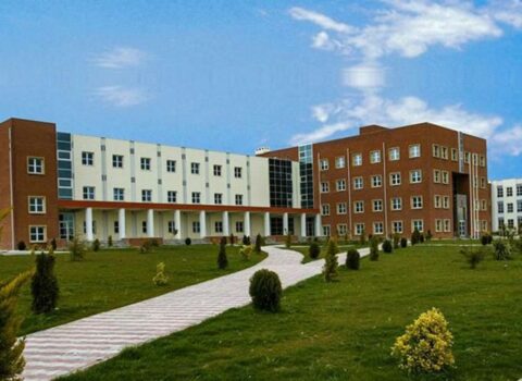Azərbaycanda yeni institut yaradıldı