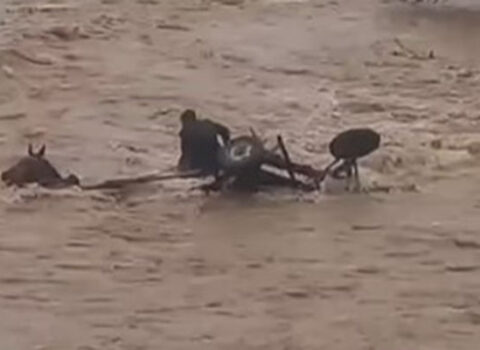 Özü ölümdən döndü, atını sel apardı – VİDEO