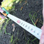 Azərbaycanda torpaqlar bahalaşacaq? — REAL VƏZİYYƏT