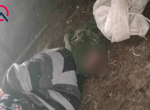 74 yaşlı qadının əl-ayağını bağlayıb başına kisə keçirdilər – Pullarını da oğurladılar