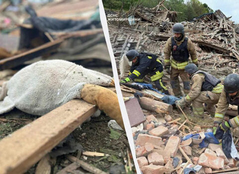 Ukraynaya kütləvi raket və PUA hücumu – Ölənlər var