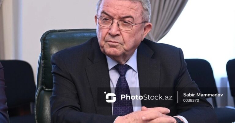 Misir Mərdanov: “Professorların aldığı maaşla heç kim ailə dolandıra bilməz”