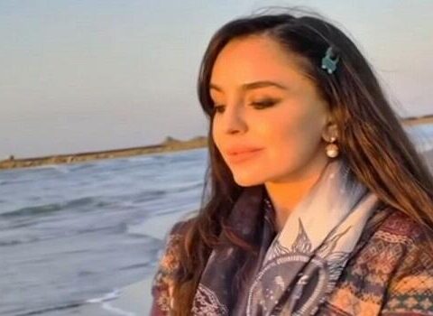 Leyla Əliyevanın bu görüntüləri diqqət çəkdi – Video