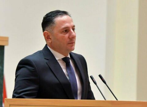 Gürcüstan daxili işlər naziri istefa verdi