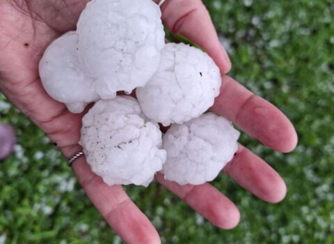 Festivala yağan dolu xeyli insanı yaraladı
