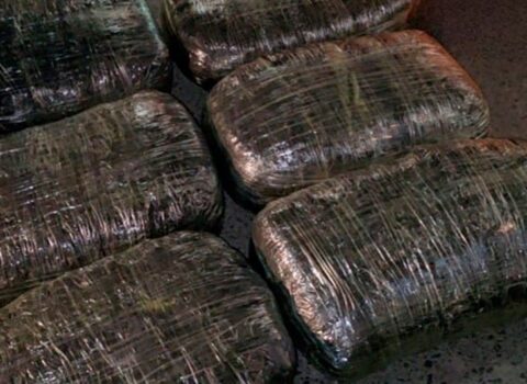 Lənkəranda 18 kiloqram narkotik aşkarlandı