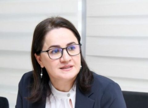 “2021-ci ildə 36, 2024-cü ildə 232 yeni dövlət standartı qəbul olunub” – Kəmalə Məmmədzadə