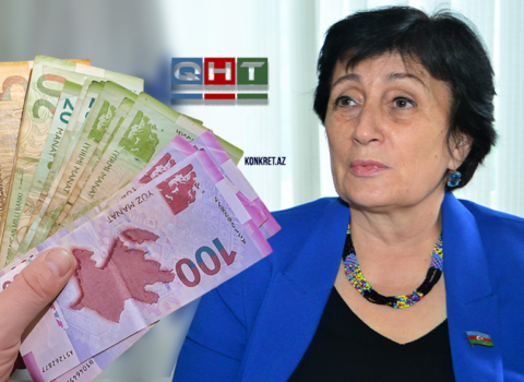 “QHT biznesi lideri” – Məlahət İbrahimqızı – İFŞA