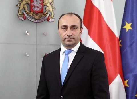 Gürcüstanın daxili işlər naziri Azərbaycana gəldi
