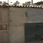 Qaraçıların qeyri-adi həyat tərzi: Evdar kişilərdən etiraflar