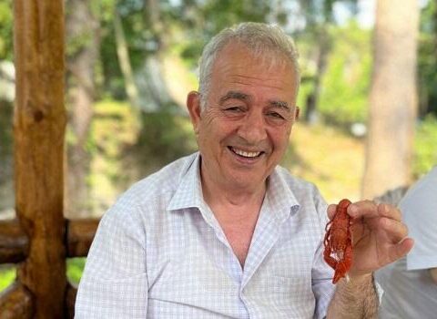 Tanınmış şair ağacdan yıxıldı, sümükləri sındı