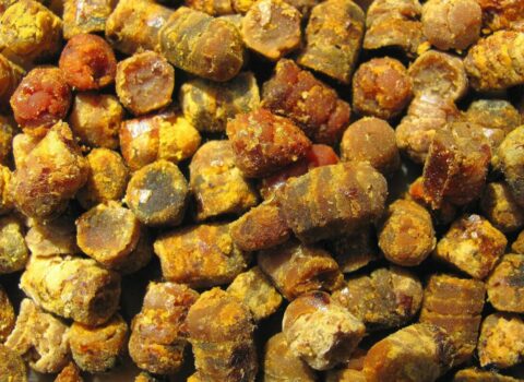 Zibil kimi atırdıq, indi kiloqramı 128 manatadır