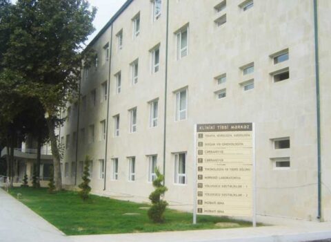Arı sancan qadın bir ay komada qaldı