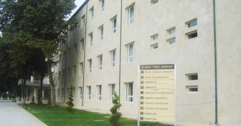 Arı sancan qadın bir ay komada qaldı