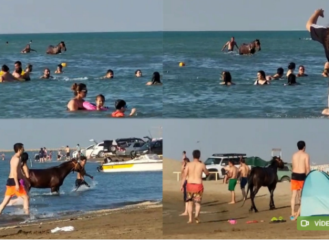 Atla dənizə girən şəxs barəsində qərar…