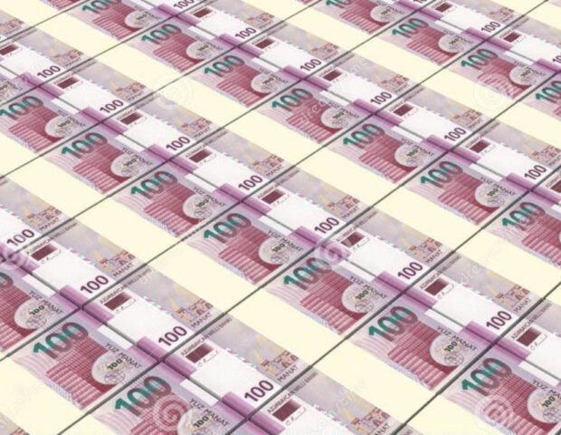 Milli Məclis büdcənin icrasını təsdiqləyib