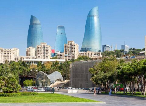 Bakıda insanlar təşviş içində – küçəni bürüyən bu canlılar nədir? – VİDEO